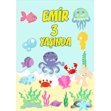 Su Altı Yaşamı Doğum Günü Afişi - 50x70 Cm