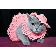 Busako Cat Pembe Özel Tasarım Kedi Kıyafeti