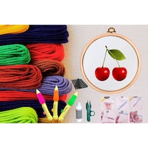 Punch Seti Nakış Seti Kasnaklı Kendin Yap Seti Seri 12