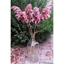 8'li Büyük Demet Pampas Pembe 100cm Boyunda Çok Renkli