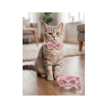 Rest To Funny Cat Papyon Çınçınlı Ekose Detay