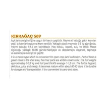 Ata Tohumu Yerli Doğal Kavun Kırkağaç-589 Tip 100 Adet Tohum Sku: Smgstkad88c2b9ac Açık Gri
