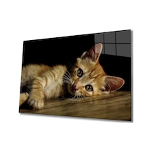 Kedi 4 Cam Tablo