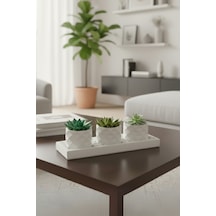3 Lü Sukulent Saksı Seti Dolomit Taşı Dahildir,bitkiler Dahil Değildir 27x10