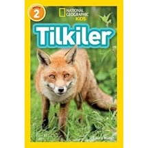 Tilkiler - Seviye 2 - Ezjı-830152
