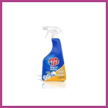 Gees Global Kireç Çözücü Sprey 750ml 1 Adet Gbzs