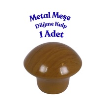 Meşe
