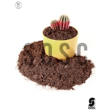 İthal Sphagnum Bitki Yetiştirme Torfu 5 Lt