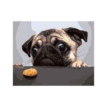 Sevimli Pug Çerçeveli 90x110 Sayılarla Boyama Hobi Seti