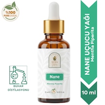 10 ML