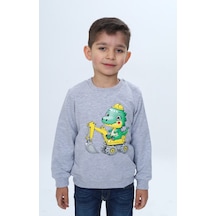 Toontoy Kids Toontoy Erkek Çocuk Relax Fit Bisiklet Yaka Omuzu Çıtçıtlı Baskılı Sweatshirt Bej