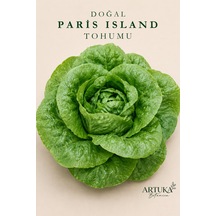 Doğal Paris Island Marul Tohumu 200 Ad Ata Tohum