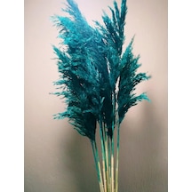 Diğer