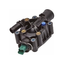 Termostat Govdesı Komple C2-C3-C4-C Elysee-Ds4-1336.Z0