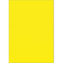 Bigpoint Eva 50x70cm Sarı 10'lu Paket