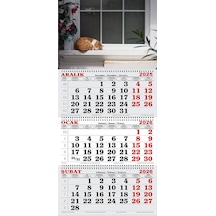 2026 Yılı Gemici Takvimi-pencere Önünde Uyuyan Kedi