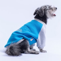 Mavi Boston Pawstar Sweat Köpek Sweatshirt Köpek Sweat Köpek Kıyafeti Kedi Kıyafeti