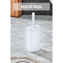 Çok Renkli