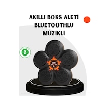 Evde Fitness İçin Akıllı Boks Makinesi Işıklı Vuruş Noktalı Bluetoothlu Çok Renkli
