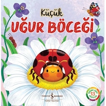 Küçük Uğur Böceği - Doğanın Eşsiz Hikayeleri 13 - Yqbx-668609