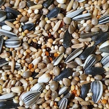 Sultan. Cennet ve Sevda Papağanı Yemi 1 KG