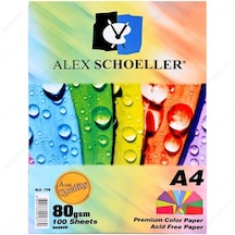 Alex Schoeller Fotokopi Kağıdı A4 10 Renk 100 Lü Alx-779