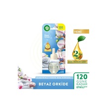Orkide
