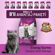 Energy Gurme Yetişkin Kedi Maması 8 x 500 G