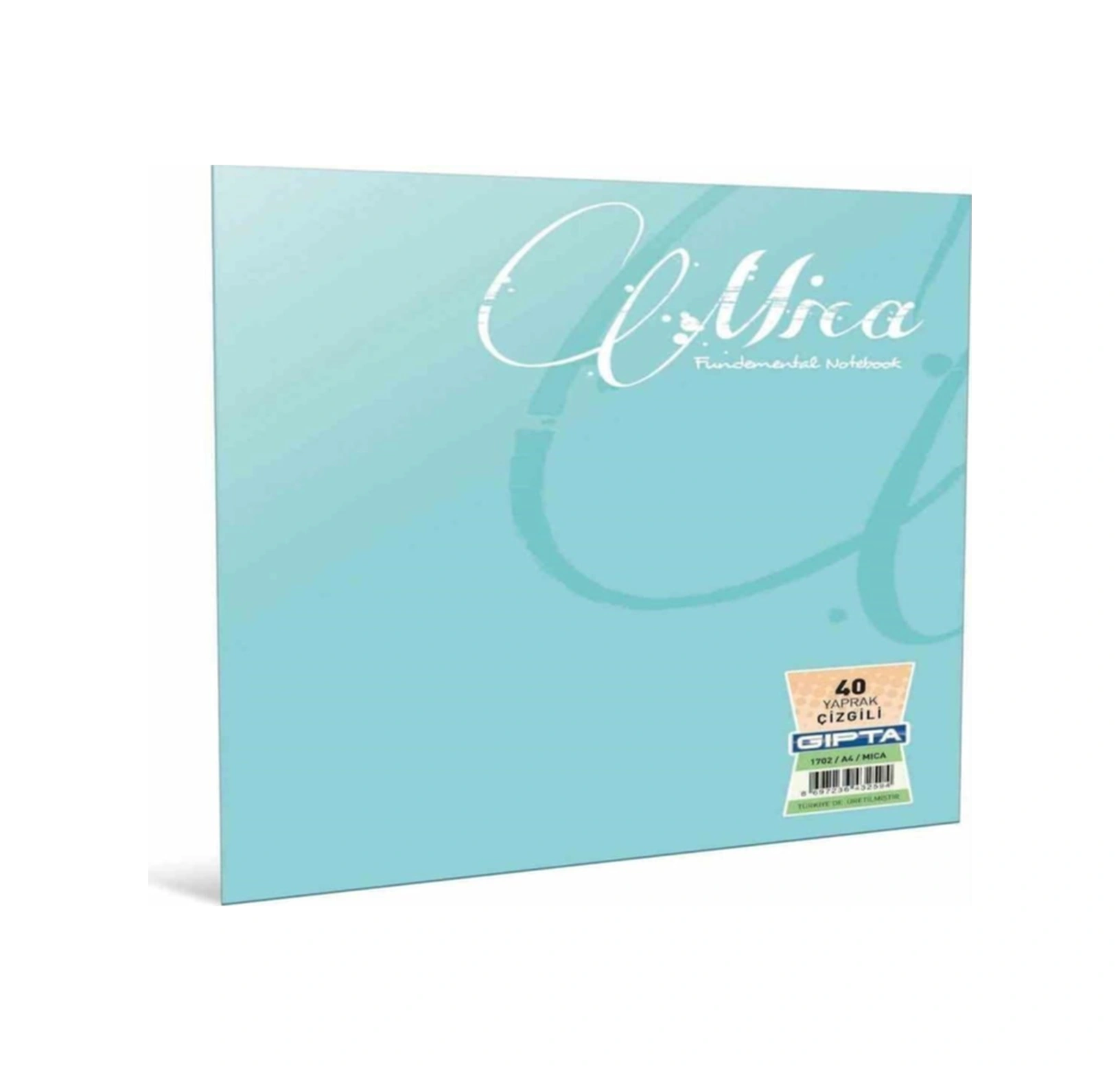 Defter A4 Mıca Pp 100yp. Çiz. 2488 Diğer