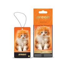 Areon Wild Blue Eyes Oto Araç Kokusu Diğer
