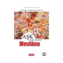 Aşk Çağlayanı / Vehbi Vakkasoğlu 9786056843280