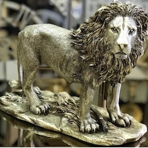 Aslan Biblo Hf248-2