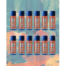 Virtues Premium 12 Adet Ocaliptus Klima Koku Giderici 150ml.