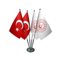 Masa Üstü Aile ve Sosyal Hizmetler Bakanlığı Bayrağı Türk Bayrağı