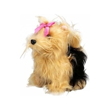 Sunman Sevimli Köpek Terrier