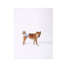 M-pets Dişi Köpekler İçin Yıkanabilir Külot Xs