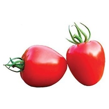 Nadir Tomatoberry Çilek Domatesi Ekim Seti Çilek Domates Tohumu 10 Tohum Saksı Toprak Kombin