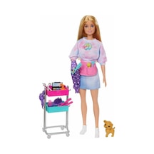 Barbie Malibu Stilist Bebek HNK95