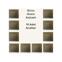 Ovivo Grano Antrasit 10 Adet Anahtar