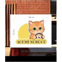 Parti Tasarla Acemi Sürücü Sevimli Kedi Araba Etiketi & Sticker Çok Renkli "