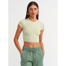 Mint Yeşili