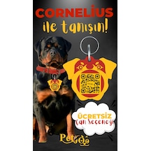 Petjoo 20.Cornelius Sarı-Kırmızı Qr'lı Köpek Künyesi
