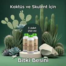 Aura Botanica Üçlü 250 Ml 3 Adet Kaktüs Ve Skulent İçin Daha Canlı Görünüm Ve Dengeli Büyüme 250 ML