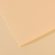 Canson Fon Kartonu Dokulu Mı-teıntes 25 Li 50x65 160 Gr 11 Ylw 31032s092 Çok Renkli