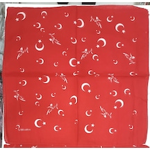Çok Renkli