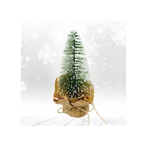 Nevada Mini Çam Ağacı - 20 Cm