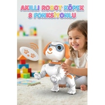 Programlanabilir Robot Köpek: Kumandalı 8 Fonksiyonlu Sesli Işıklı Hareketli Eğlence Arkadaşı