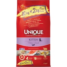 Kitten Somonlu Yavru Kedi Maması 10+2 Kg