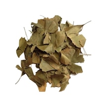 Ginkgo Biloba Yaprağı 1. Kalite 50 G