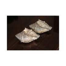 Giselle: Pearl Shell
